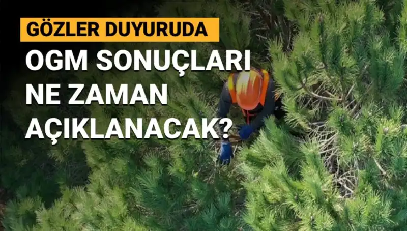 OGM Personel Alımı için Gerçekleşen Başvurular: Sonuçlar Ne Zaman Açıklanacak?