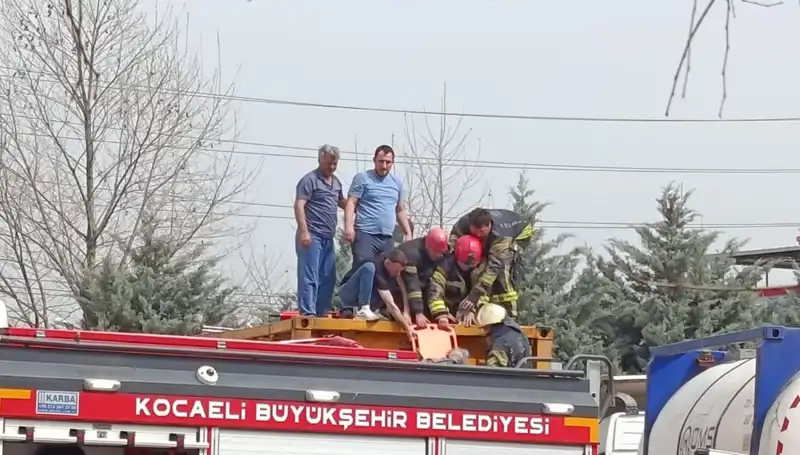 Tehlikeli Madde Taşıyan TIR'da Şok Olay: Tank İçine Düştü!