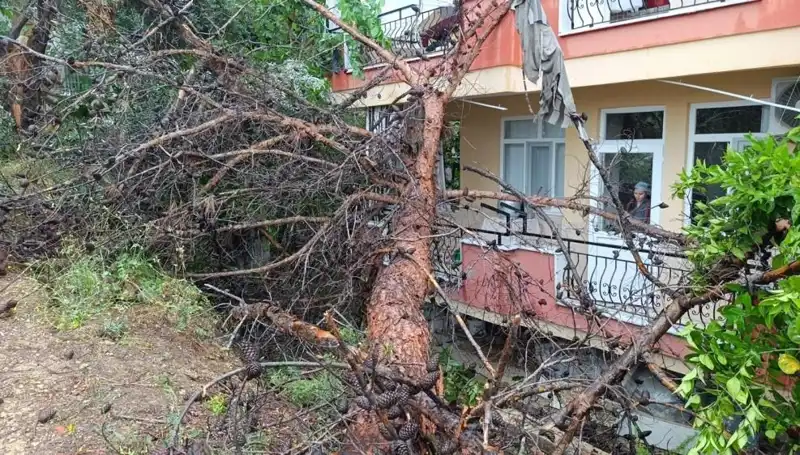 Yağmur, Eski Bina İçin Son Perdeyi Açtı: Çöken Yapının Ardındaki Nedenler