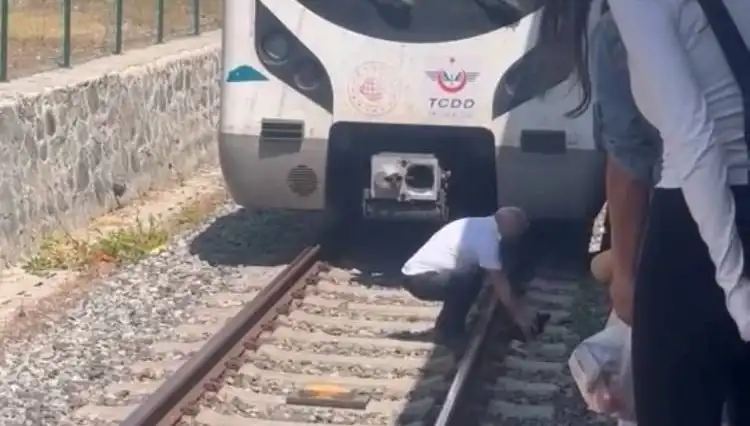 Marmaray Makinistinin Hayvan Sevgisi: Raylardaki Kedi İçin Seferi Durdurdu