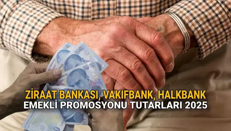 2025 Emekli Promosyonlarında Son Durum: Kamu Bankaları Neleri Sunuyor?