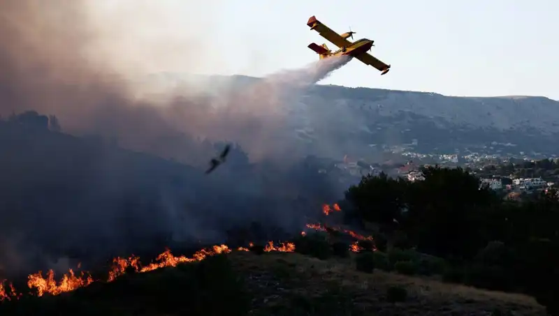 Sakız Adası'ndaki Orman Yangını Kontrol Altına Alındı, Doğa Yeniden Canlanıyor