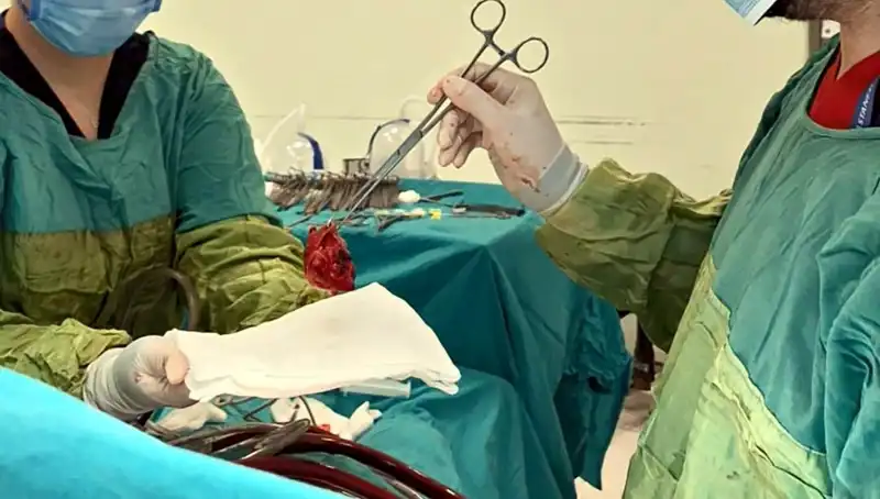 Kalp Kapağı Çürümüş Hastaya 7 Saatlik Ameliyat: Mucizevi Kurtuluşu Konuşuluyor