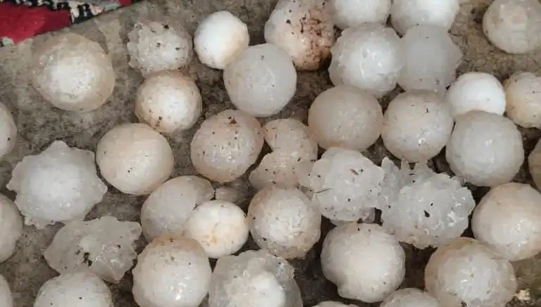 Şanlıurfa’da Kar Topu Büyüklüğünde Dolu Yağışı Şaşırttı!