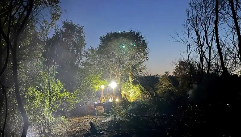 Edirne'de Korkutan Orman Yangını Sonunda Kontrol Altına Alındı
