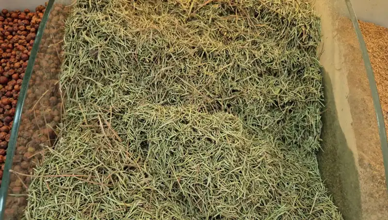 Yaz Aylarında Artan Internet Satışları: Ölüme Götüren Tehlikelere Dikkat!