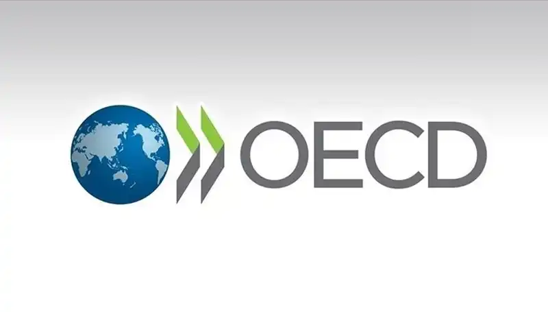 OECD, Türkiye'nin Ekonomik Büyüme Tahminlerini Revize Etti: Yeni Rakamlar Neler?