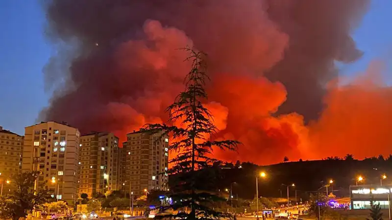 Bursa’nın Korkutan Yangınları: Şehirde Neler Oluyor?