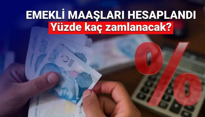 Emekli Zammı Beklentileri: 2024’te SSK, Bağ-Kur ve Emekli Sandığı Ne Kadar Artacak?