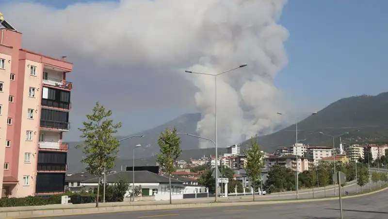 Denizli'de Alevlerin Gölgesinde Kalan Orman Yangını: Şüpheli Gözaltında