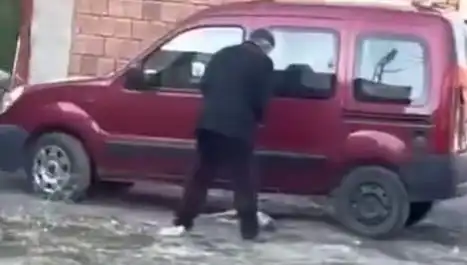 Sokak Ortasında Köpeğe Şiddet: Hayvan Hakları Savunucuları Ne Yapacak?