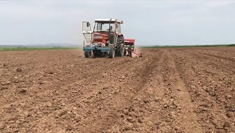 Son 35 Yılın En Kurak Mart Ayı: Türkiye'de Gözlemlenen Kayıp Dikkat Çekiyor