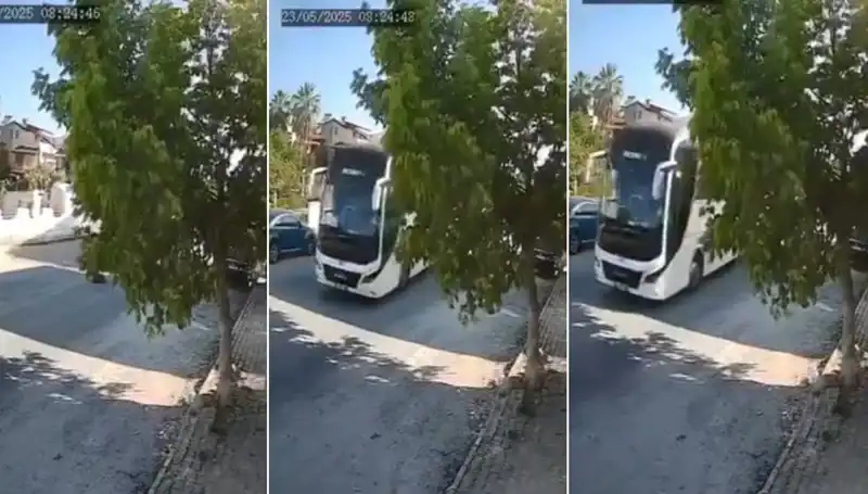 Yolda Yatan Köpeği Ezip Giden Araç Şehirde Şok Yarattı