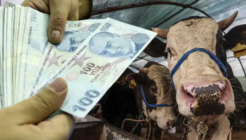 Emekli ve Memur Maaşlarının Kurban Bayramı Öncesi Yatışı Gerçekleşecek mi?