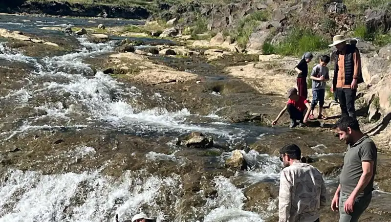 İnci Kefalinin Muhteşem Göçü: Turistler Büyüleniyor