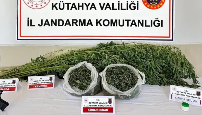 Kütahya'da Uyuşturucu Operasyonu: Şüpheli Bir Kişi Gözaltına Alındı