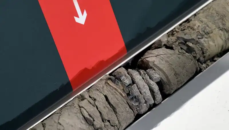 Müze Otoparkında Şaşırtan Keşif: Dinozor Fosilleri Bulundu!