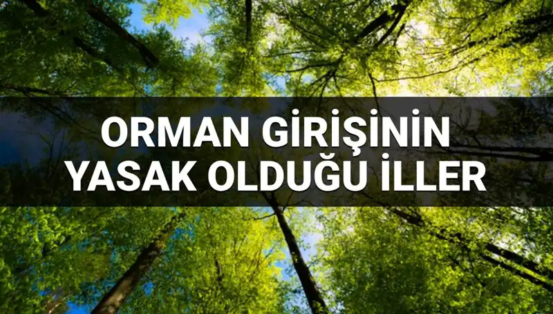 2025 Yılında Ormana Girişi Yasaklanan İllerde Neler Oluyor?