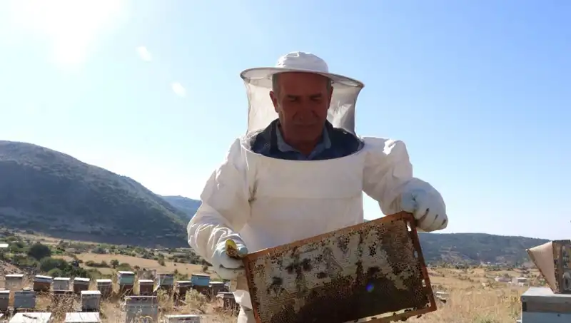 25 Yıl Sonra Mobilyadan Tarıma: Bu Yıl 2 Ton Ürün Üretti!